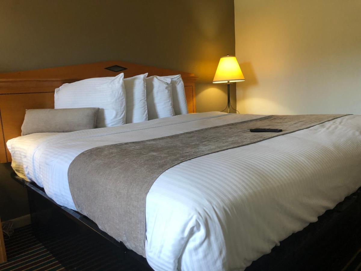 Budget Inn Timmonsville מראה חיצוני תמונה